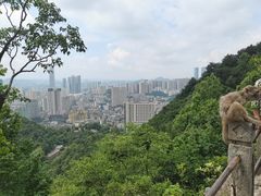 -黔灵山公园