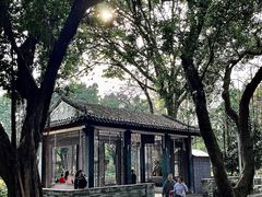 -荔湾湖公园