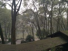 -忠山公园