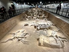 -洛阳周王城天子驾六博物馆