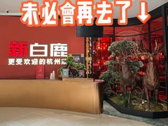 -新白鹿餐厅(湖滨银泰IN77C区店)