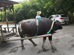 -杭州双溪漂流景区