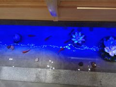 景观位-九田家黑牛烤肉料理(中北镇店)