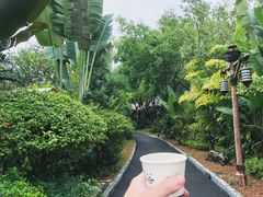 -碧桂园润杨溪谷温泉酒店