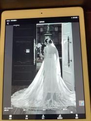 -金夫人婚纱摄影(华南店)