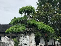-水绘园