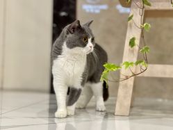 -清羽高温瑜伽·普拉提
