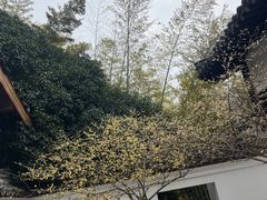 -求雨山文化公园