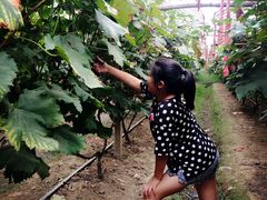 -乡乐园蟹庄·阳澄湖农家乐