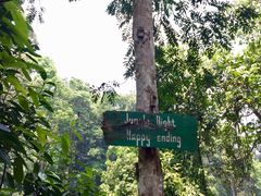 -清迈丛林飞跃 JungleFlight
