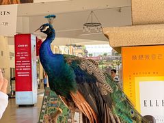 -王府井奥莱临潼小镇(临潼店)