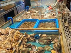 -半岛听涛蒸汽海鲜自助(K11店)
