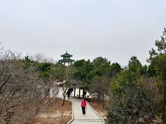 -北京西山国家森林公园