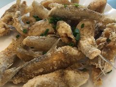-金海湾海鲜排档(朱家尖店)