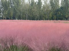 -汉长安城未央宫国家考古遗址公园