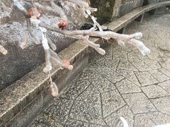 -黄山北海宾馆