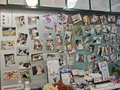 -爱妮康宠物医院·干细胞免疫细胞·肿瘤·心脏(张江店)