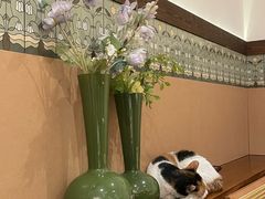 -大象厨房(重庆道店)