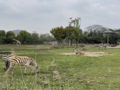 -宁波野生动物园