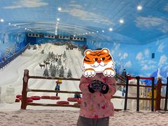 -世界之窗阿尔卑斯冰雪世界