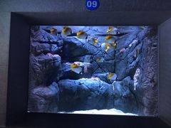 -成都浩海立方海洋公园