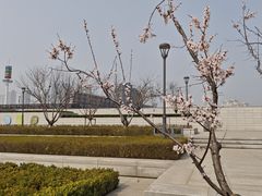 -海河外滩公园