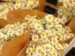 -豆豆花艺(新光天地店)