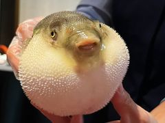 -肆月河豚·淮扬菜·湘菜(华天店)