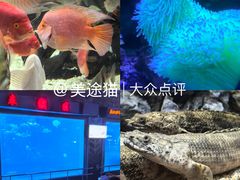 -太平洋海底世界