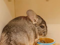 -龙猫仔乐园(惠福东路店)