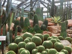 -华南国家植物园-售票处