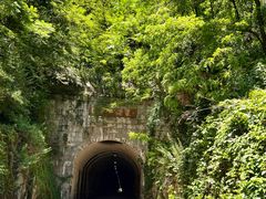 -秦岭终南山世界地质公园翠华山景区