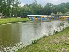 -黄海国家森林公园