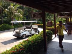 三亚凯莱仙人掌度假酒店-三亚亚龙湾凯莱仙人掌度假酒店