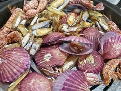 -大锅强·蒸海鲜青岛菜(吾悦广场店)