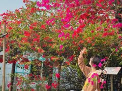 -盈香心动乐园