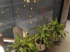 -百富源·海鲜辽菜(和平北大街店)