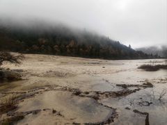 -黄龙山原始森林景区