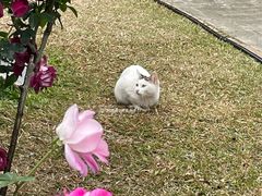 -人民公园(罗湖区)