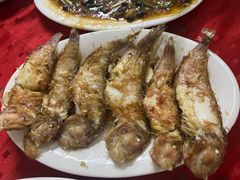 英戈鱼-蛇口康乐快餐鱼仔档(翠苑小区店)