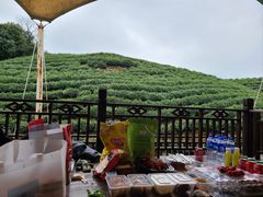 -帐篷客·溪龙茶谷度假酒店