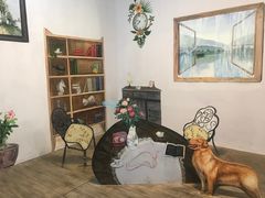 -梦幻巴比松星空体验馆