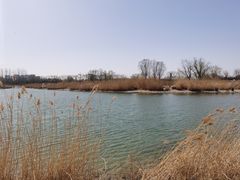 -大兴滨河森林公园