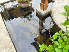 -源泉冷水鱼庄(小鱼洞店)