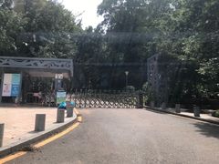 -银湖山郊野公园-相思林