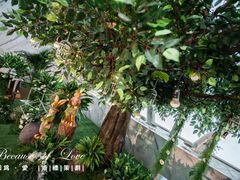 -北京朝阳悠唐皇冠假日酒店