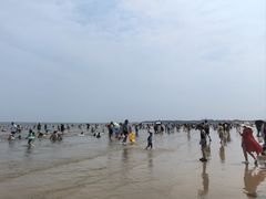 -日照海滨国家森林公园