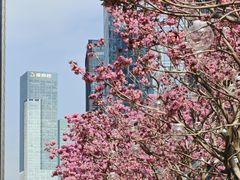 -深圳湾万象城(南山店)