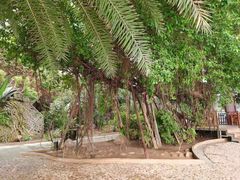 -龙达温泉生态城