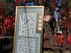 -水峪民俗村